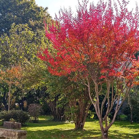 La Demeure D'Ezilda Villa Fleac-sur-Seugne Luaran gambar