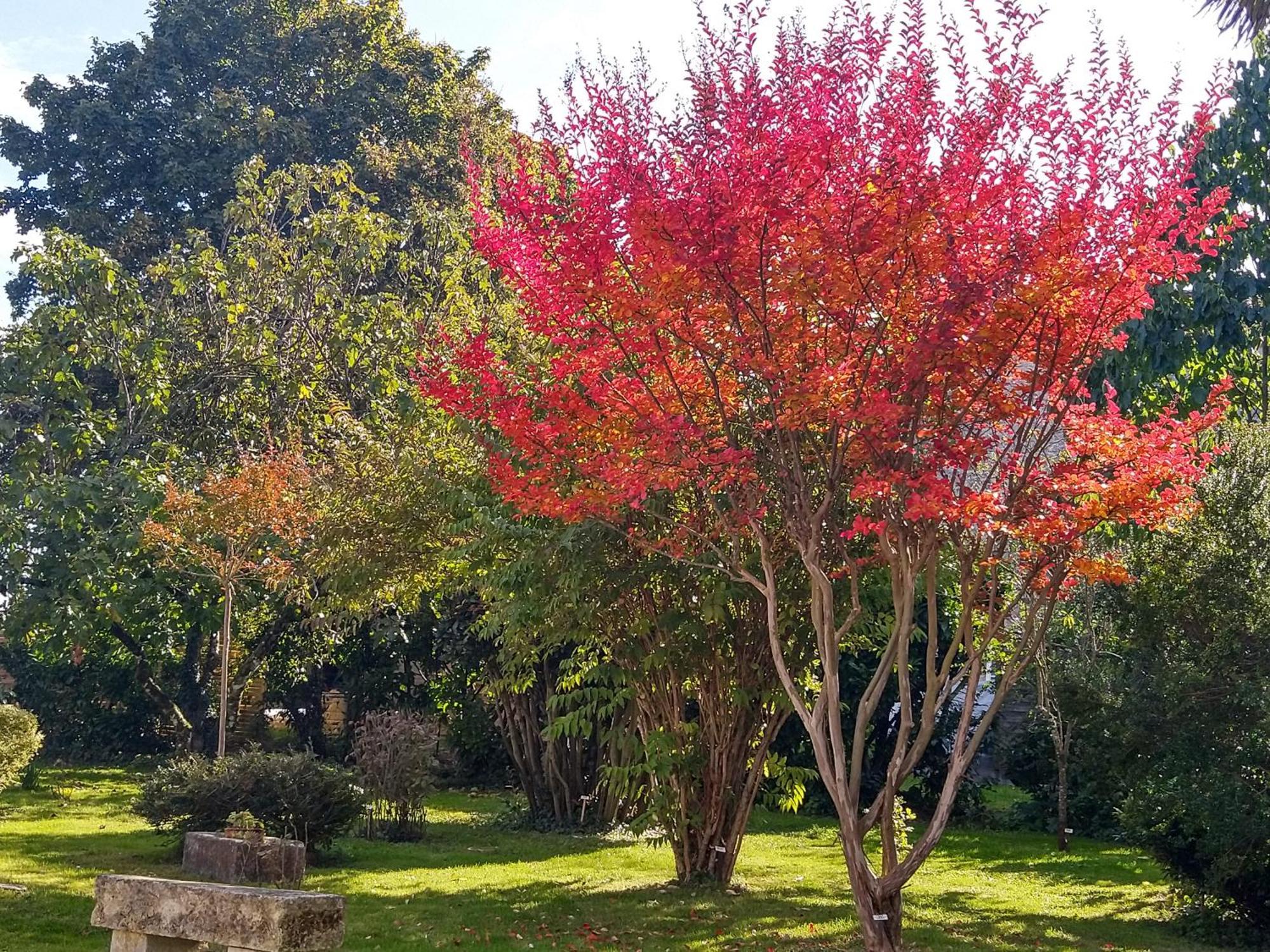 La Demeure D'Ezilda Villa Fleac-sur-Seugne Luaran gambar