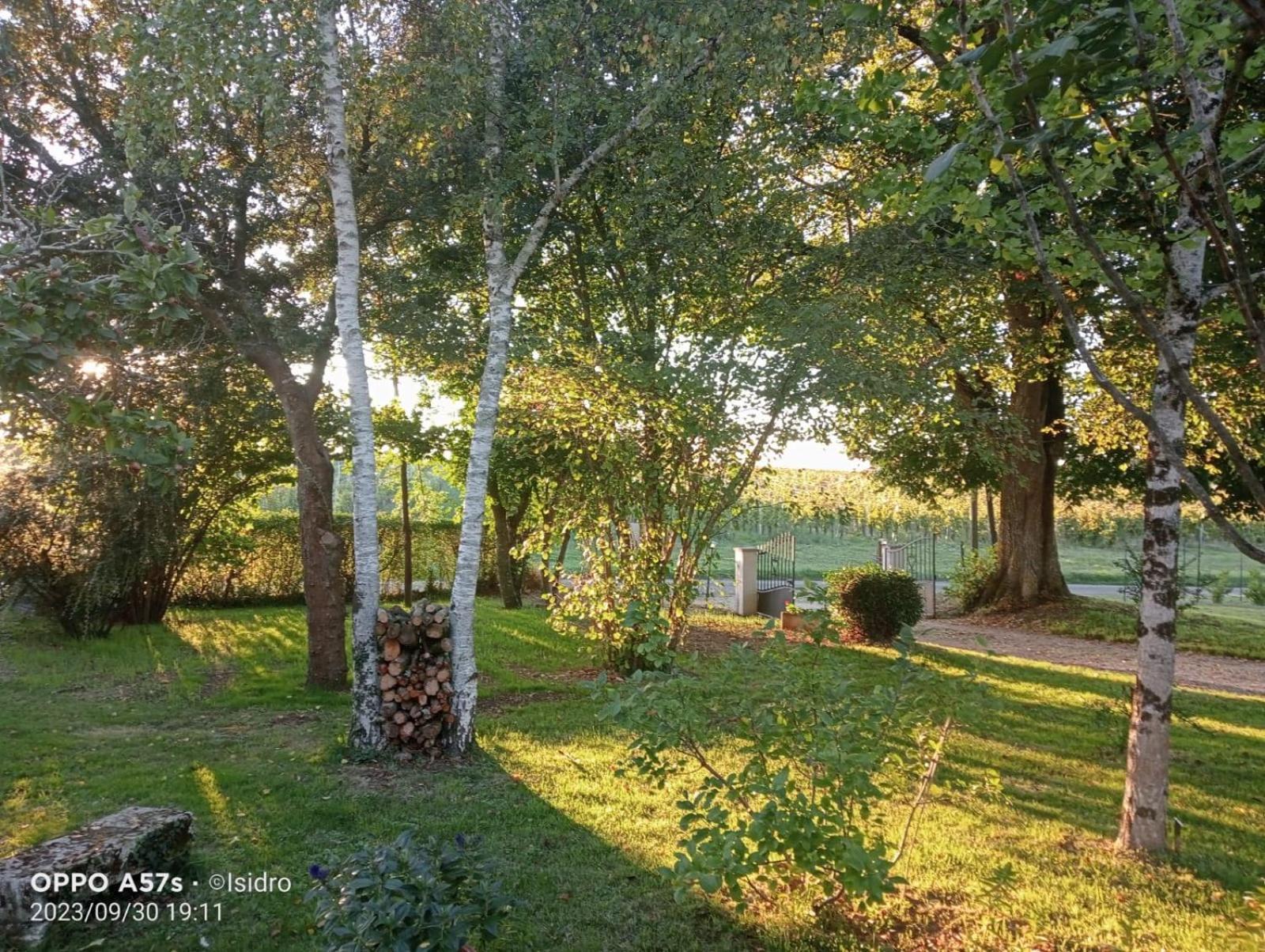 La Demeure D'Ezilda Villa Fleac-sur-Seugne Luaran gambar